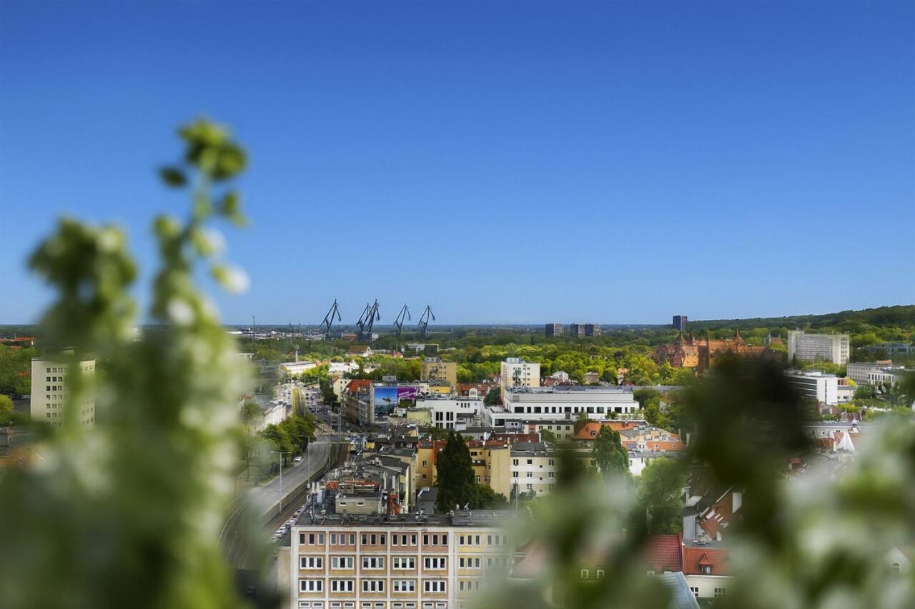 Panorama- The View Of By Elite